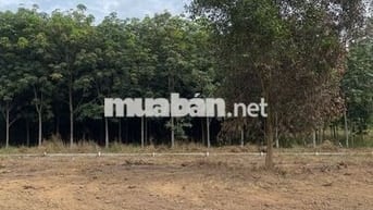 Bán Miếng Đất Ngay Trung Tâm Thành Phố Sát Vành Đai 4 Gần KCN Visip3