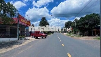 Chủ ngộp cần ra nhanh lô đất MT DH504 32M, SHR - giá chỉ 290tr