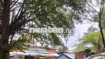 Loaloa siêu ẩm sang gấp đầu tư 900t hạ còn 329t đang kd thu nhập 60t/