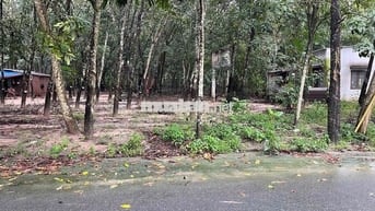 BÁN GẤP ĐẤT CHÁNH PHÚ HÒA – BẾN CÁT CHỈ TỪ 3TỶ1xx 10x63