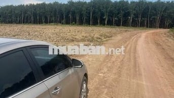 Em còn mấy lô đấy diện tích lớn - vị trí đẹp - giá bao rẻ cho mấy AC