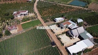 Mới sáng ra nhận tin: lô đất ngay trung tâm Tân Hội chỉ 680 triệu 😳 Kh