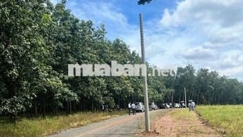 Đất sắp thổ đầu 2026 - hỗ trợ vay 200tr, dẫn coi thực tế + chia sẻ qh