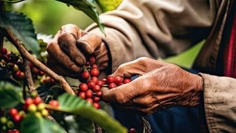 VIỆC LÀM PART / FULLTIME Ở BÌNH THẠNH 