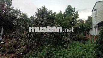 HẺM XE TẢI TÂN HIỆP HÓC MÔN, DT 300M2 Ngang 12,5M, GIÁ 10tr/M2 THỔ CƯ