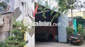 Cho Thuê Kho Xưởng: Có điện 3 pha ,Trần Cao ,Mới