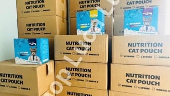 tuyển thủ kho và nhân viên kho