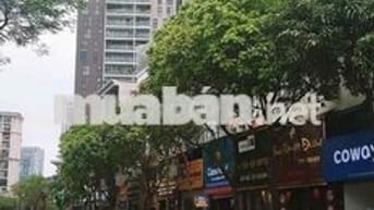 Cho thuê nguyên căn làm văn phòng Quận Cầu Giấy