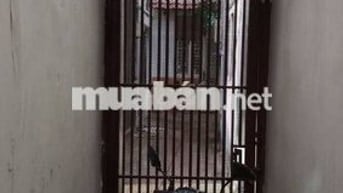 Nhà trung tâm Quận 3 cho thuê, diện tích sàn 60m2