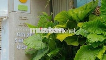 phòng trọ trong 5 homestay cao cấp