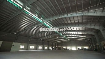 CHO THUÊ KHO XƯỞNG ĐƯỜNG 22B HUYÊN GÒ DẦU , TỈNH TÂY NINH