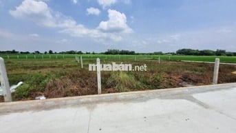 5x38 có thổ cư. Đường bê tông ngay cổng KCN. 350tr