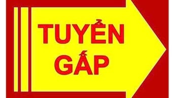 Tuyển Gấp Nhân Viên Kho Vận  - Không Cần Kinh Nghiệm 