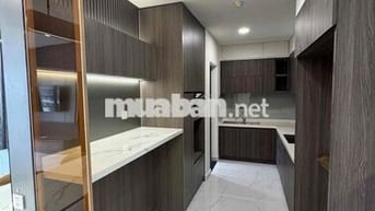 ✅ Chuyên cho thuê căn hộ Diamond Centery đẹp cao cấp