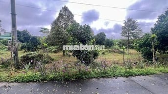 Bán Đất Gần Chợ, Diện tích 1000m2 Đất Vườn Có Thổ 200m2, Giá 490 triệu