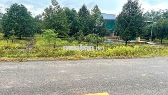 Bán Ngộp Nhà Cấp 4 và Vườn Cây ăn trái, diện tích 1000m2_Giá 550 triệu