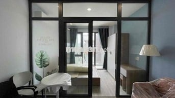 Chính Chủ Cho Thuê 1PN Ban Công Máy Giặt Riêng Ngay Lotte Q7