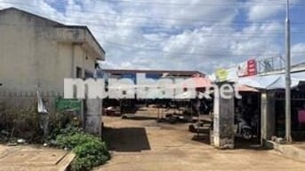 Đất Chính Chủ - Đường bên hông Chợ Trà Đa