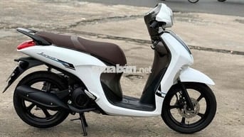 xe zanut đẹp keng