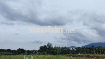 Đất trong khu dân cư cách nhựa 500m