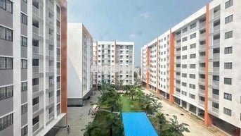 Chung cư Hồng Loan 57m2 chỉ 4 triệu