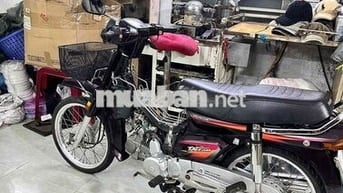 Dream CITi up supper