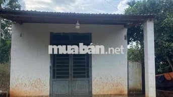 2 SÀO 5 – CÓ NHÀ CẤP 4 – MẶT TIỀN NHỰA  Co vườn trái cây các loại  Có