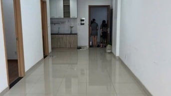 Chung cư IDICO, Luỹ Bán Bích, TP: 74m2, 2p ngủ, NTCB, 10tr/th