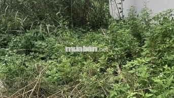 Đất 72m2 ngang 5m lô góc 2 mặt tiền thôn 4 Bắc Sơn, An Dương giá rẻ