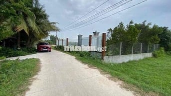 ĐẤT CHÍNH CHỦ CẦN BÁN GẤP LỘC HOÀ 2 ĐỨC HOÀ