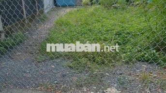 Bán đất đường cửa lớn xã tân quý tây huyện Bình Chánh