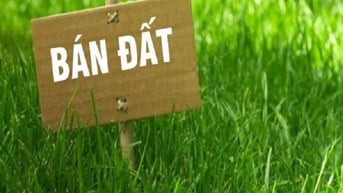 Bán đất kinh doanh mặt phố Đỗ Nhuận, gần chợ đầu mối Xuân Đỉnh