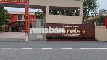 NHẬP KHẨU ĐÔNG ANH- Ô TÔ VÀO TẬN ĐẤT- RA ĐƯỜNG DẪN CẦU TỨ LIÊN GẦN