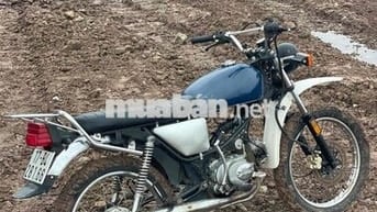 bán win detech độ dáng cào cào