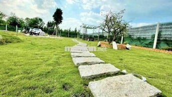 Đất thổ vườn Phước Vĩnh An Củ Chi 578m2 có 300m thổ Shr MT 12m