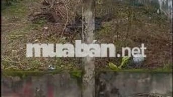 Đất ở đô thị phường Điện Bàn Đông