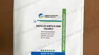 Chuyên cung cấp vi sinh nguyên liệu số lượng lớn, giá cực tốt ạ