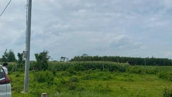 CÔNG TY ĐẤU GIÁ HỢP DANH MINH PHÁP THÔNG BÁO ĐẤU GIÁ TÀI SẢN