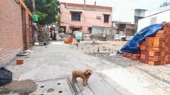 BÁN ĐẤT ĐẸP NGAY CHỢ HIỆP BÌNH, GIÁ CHỈ 4,7 TỶ,GIÁ *** KHU VỰC