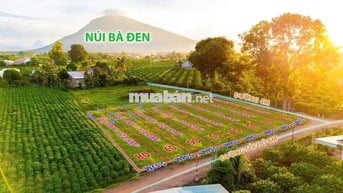 VIEW NÚI BÀ ĐEN,FULL THỔ CƯ,DƯƠNG MINH CHÂU CHỈ 289TR