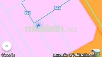 NGỘP BANK *** LÔ 500M2 ngang 15m THỊ TRẤN PHƯỚC HẢI- BRVT