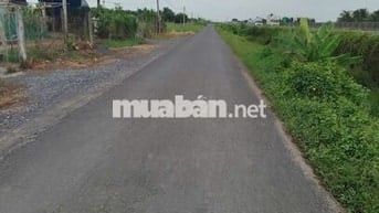 Đất vườn + đất ruộng giá rẻ - chính chủ