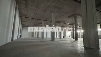 CHO THUÊ KHO XƯỞNG 6.000 – 20.000M² TRONG KCN TÂN PHÚ TRUNG, CỦ CHI