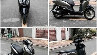 Lead-Abs 125 - Nâu [Gold] Premium 2025