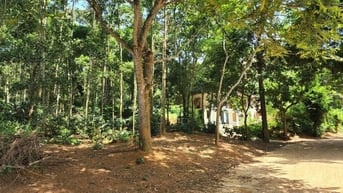 1000m vuông vắn view hồ đẹp khỏi chê Lạc Sơn Hòa Bình giá rẻ chính chủ