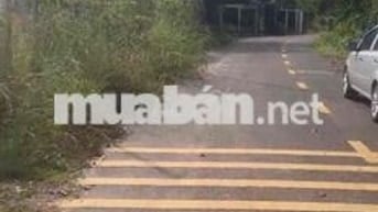 3640m2 P. Uyên Hưng, đường nhựa thông 6m, giá ngộp