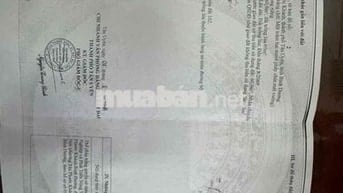 Bán gấp đất mặt tiền nhựa thông buôn bán