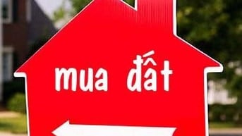 Cần mua đất Mỹ Phước, P Thới Hòa, Tp HCM giá cao