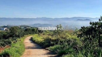 Chủ kẹt tiền cần bán mảnh đất view sông đẹp xã Tân Nghĩa, Lâm Đồng.