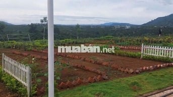 Bán gấp lô đất nền gần quốc lộ 20, Lâm Đồng